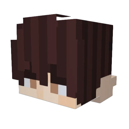 saltedvaseline Minecraft avatar head, 3D render