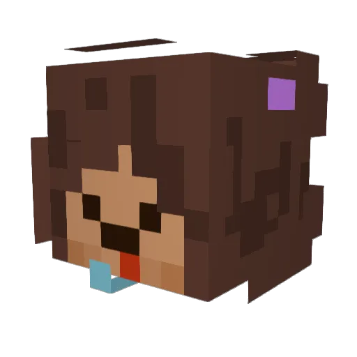 saltha120 Minecraft avatar head, 3D render