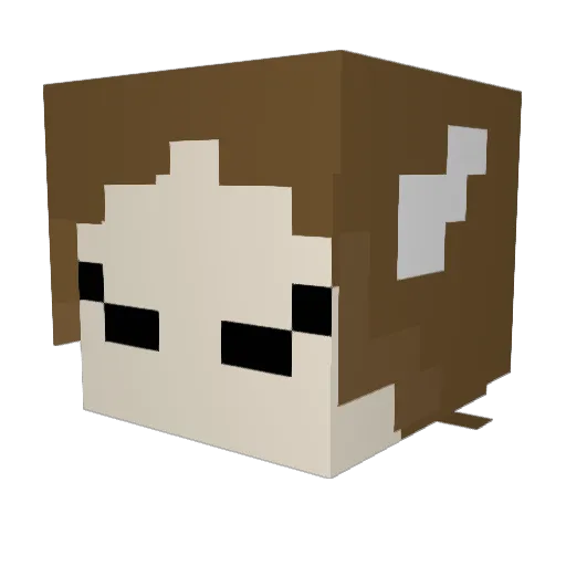 saltinecracker05 Minecraft avatar head, 3D render