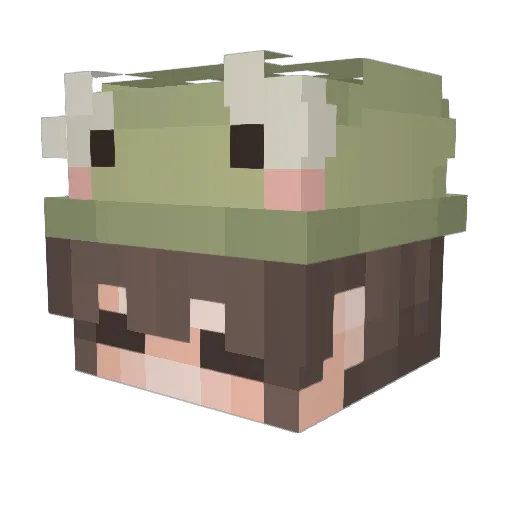salttytyra Minecraft avatar head, 3D render