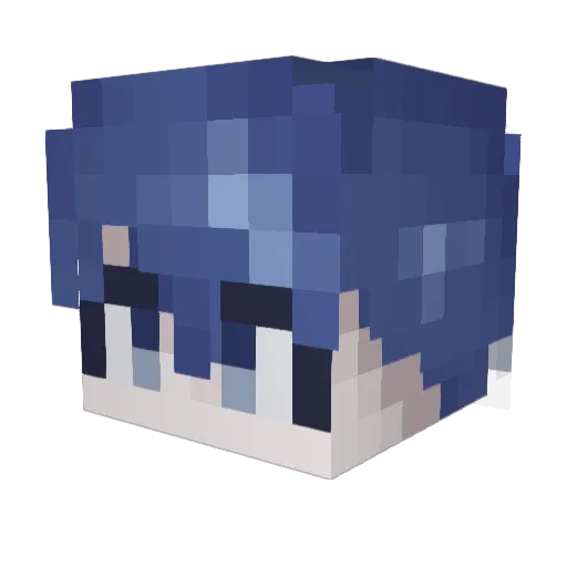 salty_g16 Minecraft avatar head, 3D render