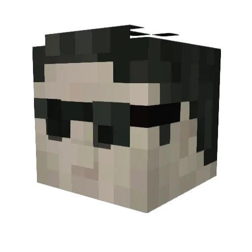 salty_minion Minecraft avatar head, 3D render