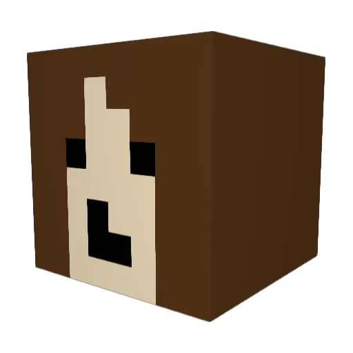 saltypoopsock Minecraft avatar head, 3D render