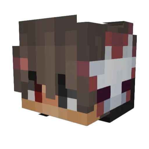 saltyquzz Minecraft avatar head, 3D render