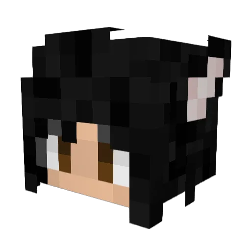 saltysabra Minecraft avatar head, 3D render
