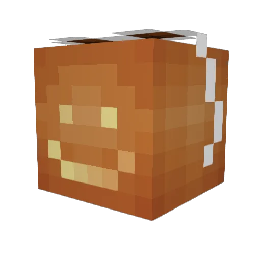 saltysquares_ Minecraft avatar head, 3D render