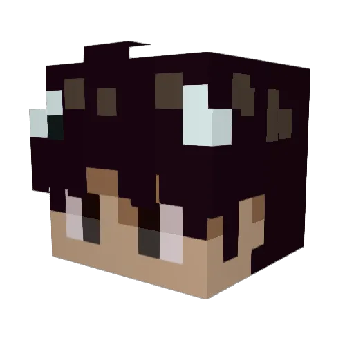 saltysquid5 Minecraft avatar head, 3D render