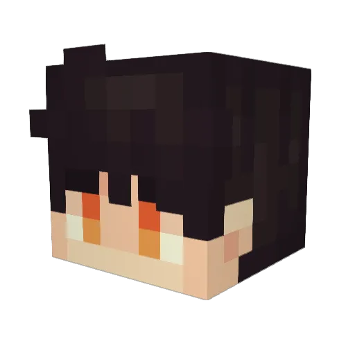 salvador2 Minecraft avatar head, 3D render
