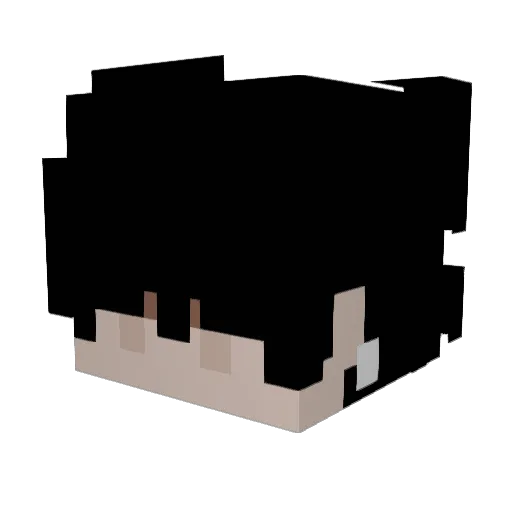 salvaien Minecraft avatar head, 3D render