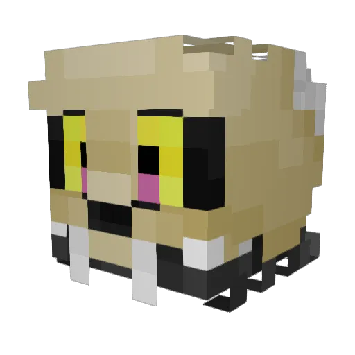 salvucki Minecraft avatar head, 3D render