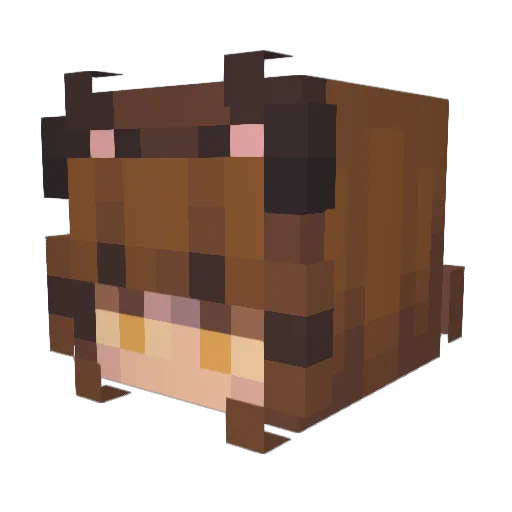 salvulcanolover Minecraft avatar head, 3D render