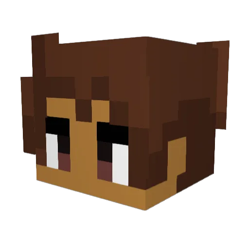 salxtary Minecraft avatar head, 3D render