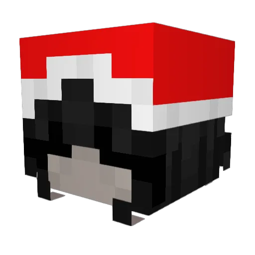salydocus Minecraft avatar head, 3D render