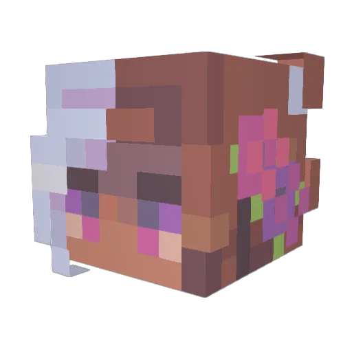 salynxx Minecraft avatar head, 3D render