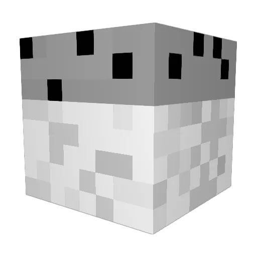 salzt Minecraft avatar head, 3D render