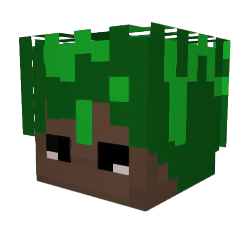 sam777_ Minecraft avatar head, 3D render