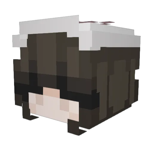 samL0VEZKATZZ Minecraft avatar head, 3D render