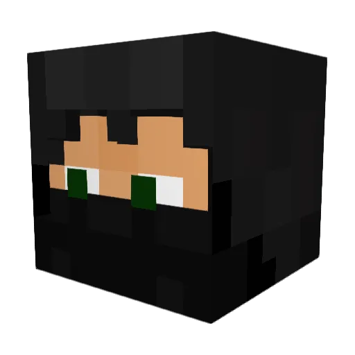 sam_250 Minecraft avatar head, 3D render