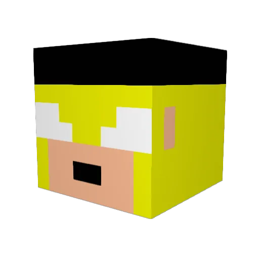sam_games_sam Minecraft avatar head, 3D render