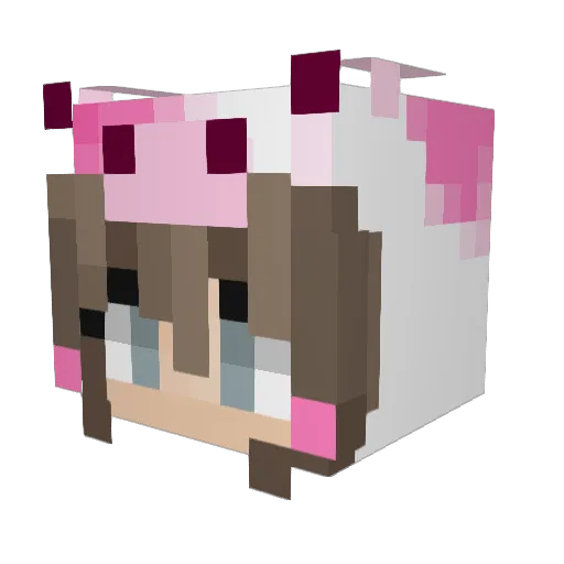 sam_h5 Minecraft avatar head, 3D render