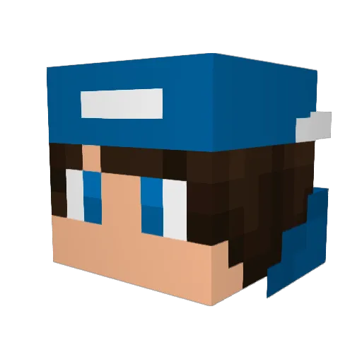 sam_hsilva Minecraft avatar head, 3D render