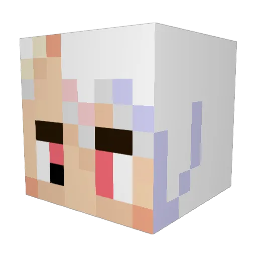 sam_jo Minecraft avatar head, 3D render