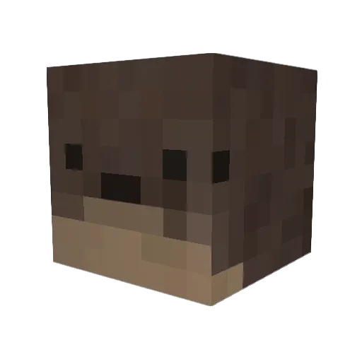 sam_plays_mc Minecraft avatar head, 3D render