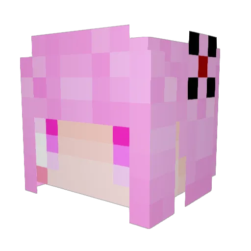 samacco Minecraft avatar head, 3D render