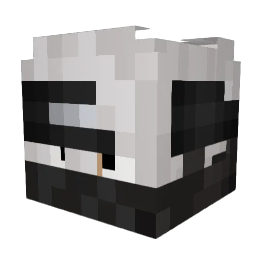 samasu_02 Minecraft avatar head, 3D render
