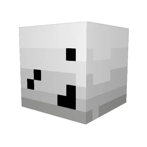 samaya2 Minecraft avatar head, 3D render