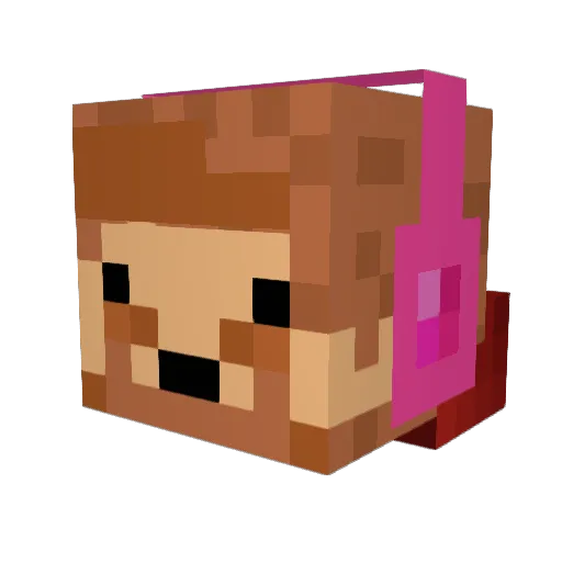 sambam089 Minecraft avatar head, 3D render