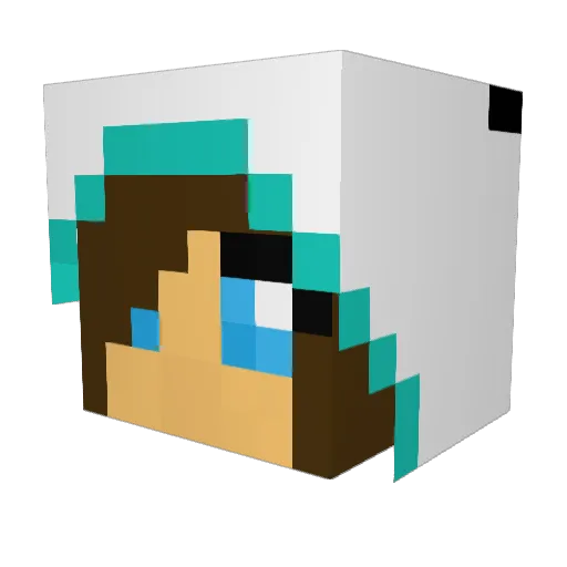 sambam3232 Minecraft avatar head, 3D render