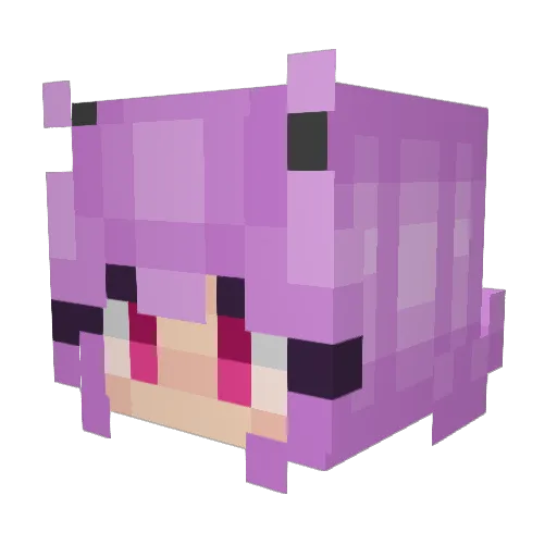 sambam333 Minecraft avatar head, 3D render