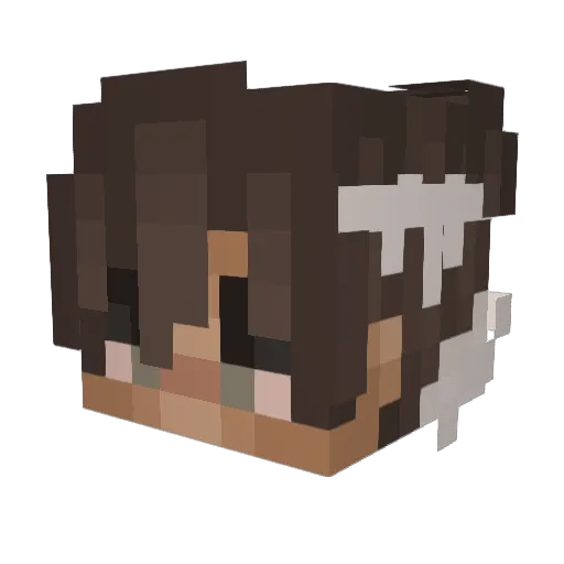 sambarron11 Minecraft avatar head, 3D render