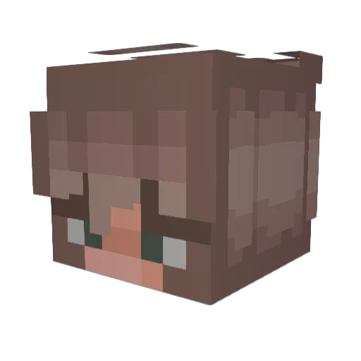 sambeeeee Minecraft avatar head, 3D render