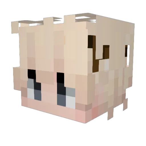 sambove Minecraft avatar head, 3D render