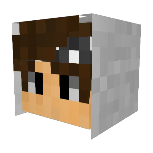 samco25 Minecraft avatar head, 3D render