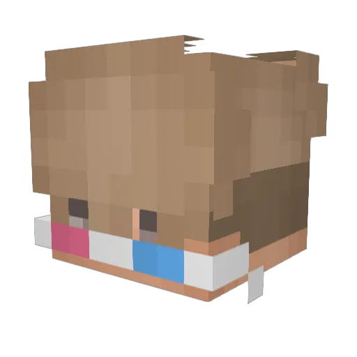 samconsamurai Minecraft avatar head, 3D render