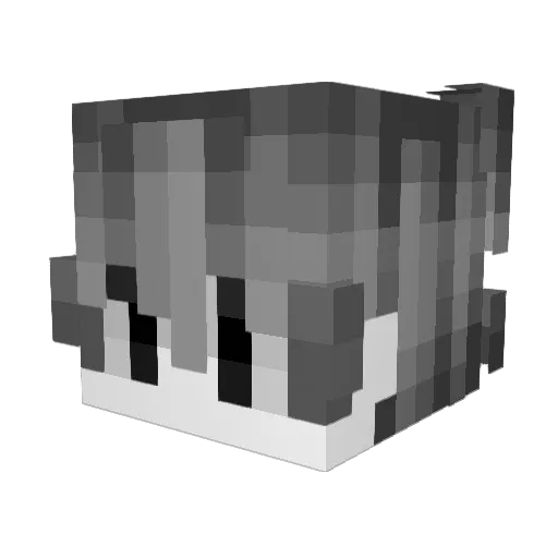 samecc1 Minecraft avatar head, 3D render