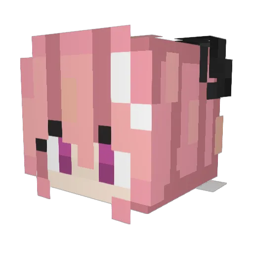 sameeee Minecraft avatar head, 3D render