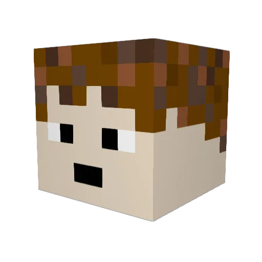 sameer17 Minecraft avatar head, 3D render