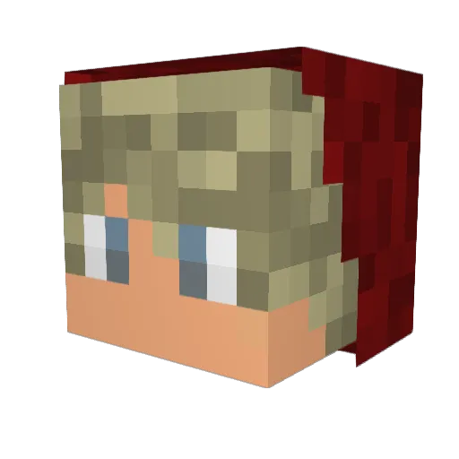 sameo24 Minecraft avatar head, 3D render