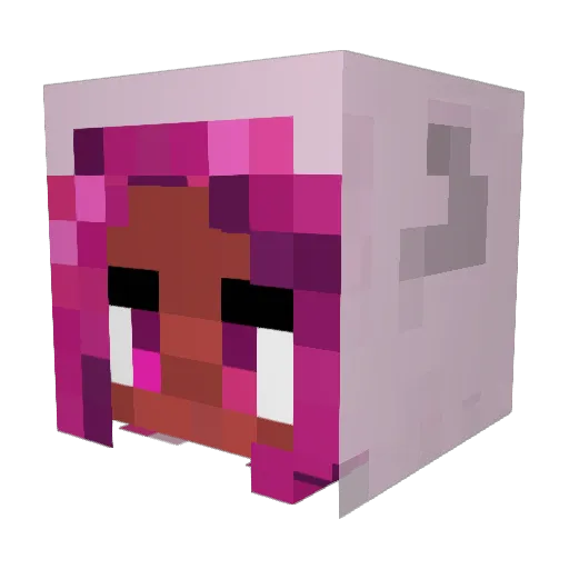sametan Minecraft avatar head, 3D render