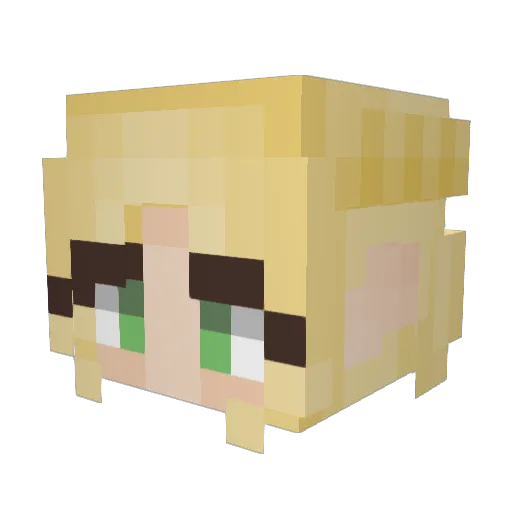 samflem_ Minecraft avatar head, 3D render