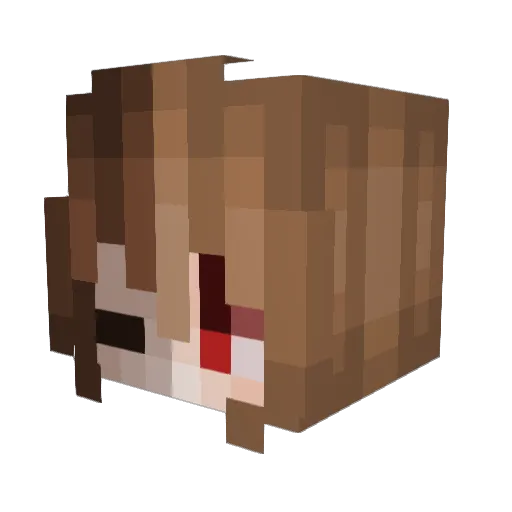 samfoeindevoid Minecraft avatar head, 3D render
