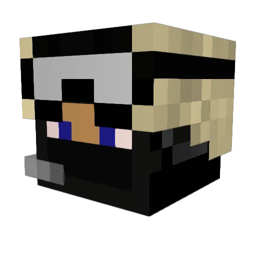 samiam407 Minecraft avatar head, 3D render