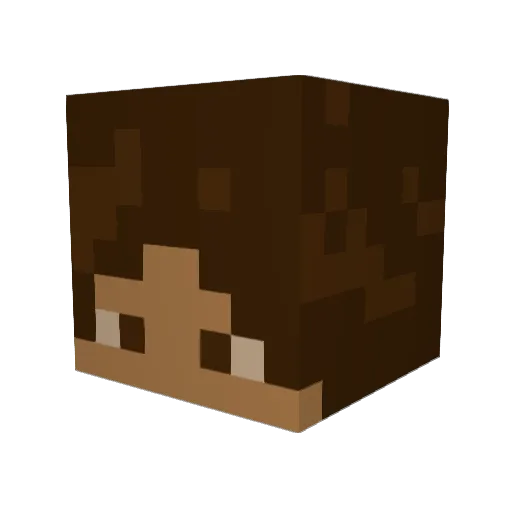 samiandtoad Minecraft avatar head, 3D render