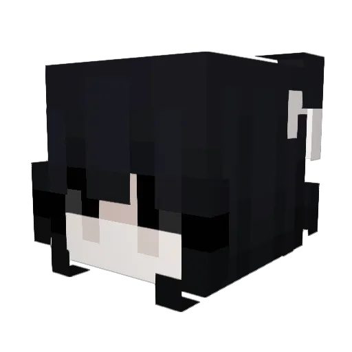 samirra Minecraft avatar head, 3D render