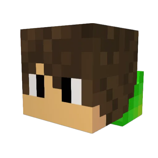 samis98 Minecraft avatar head, 3D render