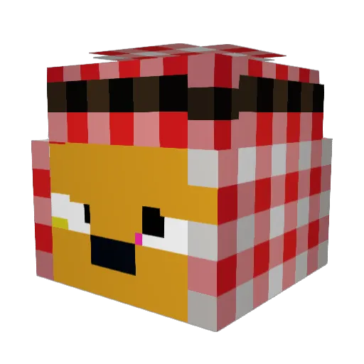 samisbest1234 Minecraft avatar head, 3D render